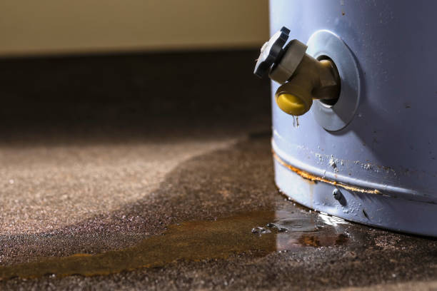 Best Flood damage cleanup  in Emmon, AK