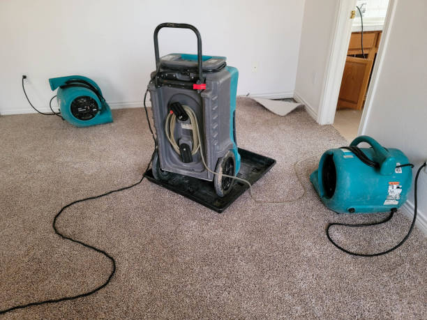 Water damage restoration process in AK