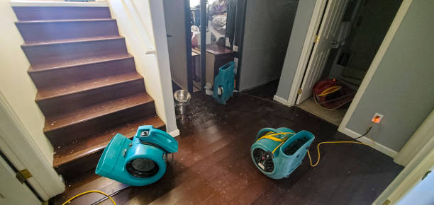 Best Professional water damage repair  in Emmon, AK