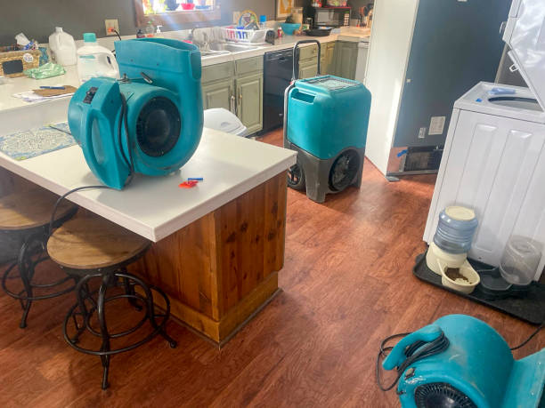 Best Water damage mitigation services  in Emmon, AK