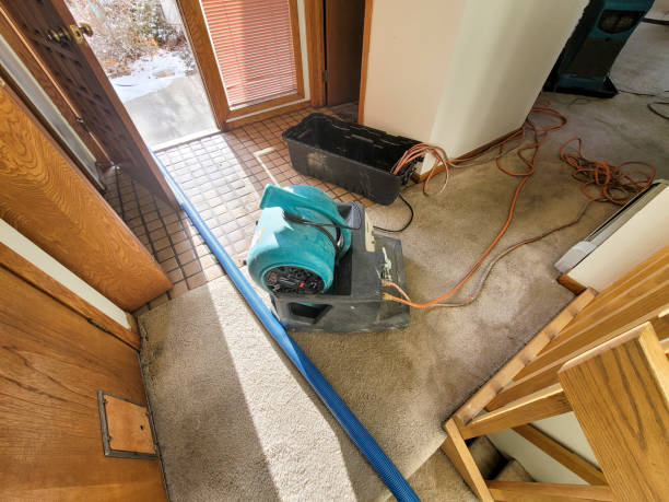 Best Water damage restoration cost  in Emmon, AK