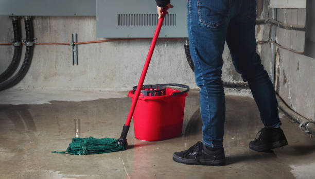 Best Ceiling water damage repair  in Emmon, AK