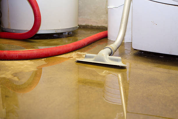 Best 24-hour water damage restoration  in Emmon, AK