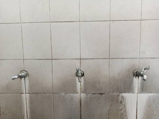 Best Professional water damage repair  in Emmon, AK