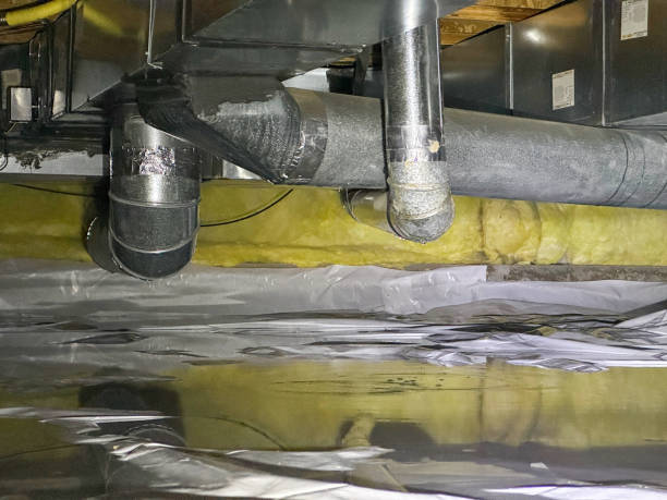 Best Sewage cleanup and water damage restoration  in Emmon, AK