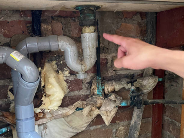 Best Flooded house restoration  in Emmon, AK