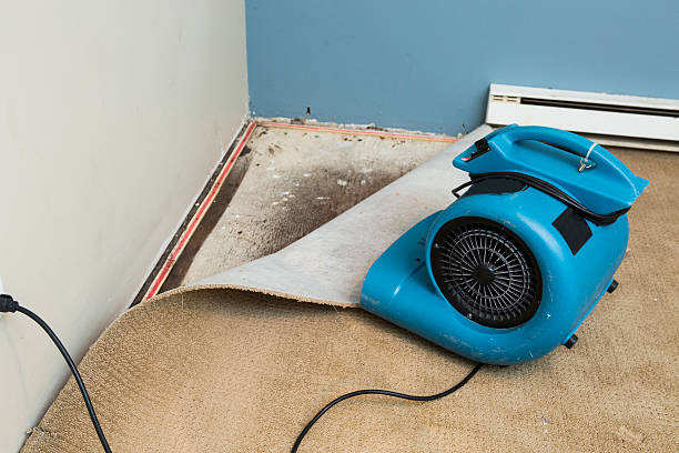 24/7 water damage repair in AK